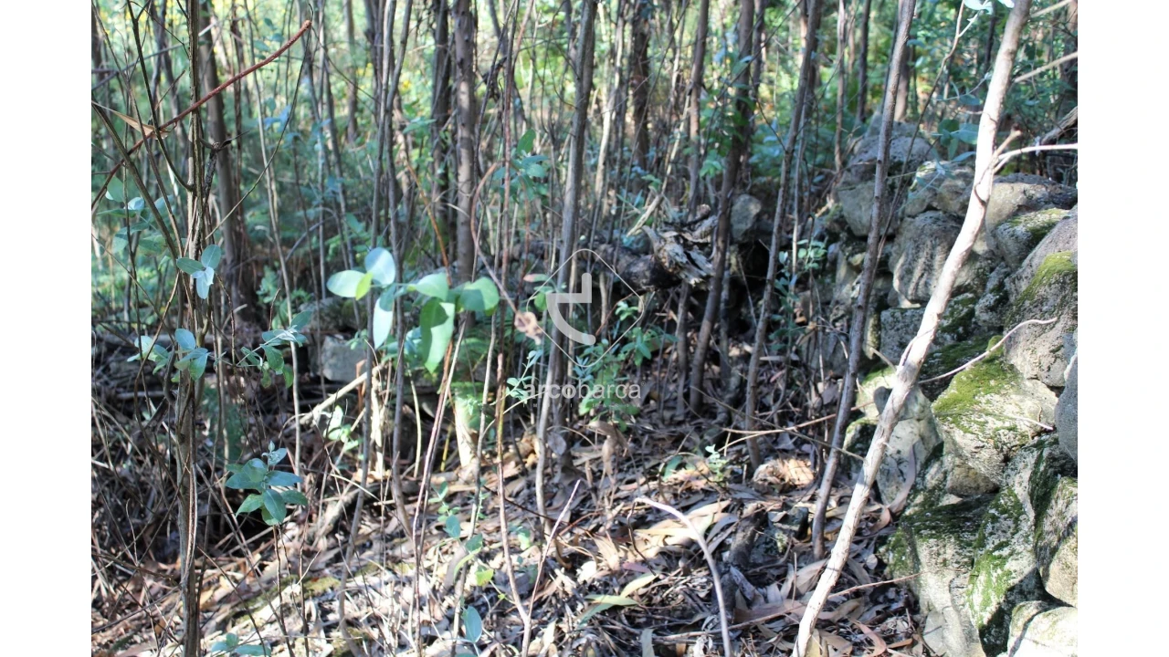 Terreno para Venda em Vila Chã (São João Baptista e Santiago) Foto 18