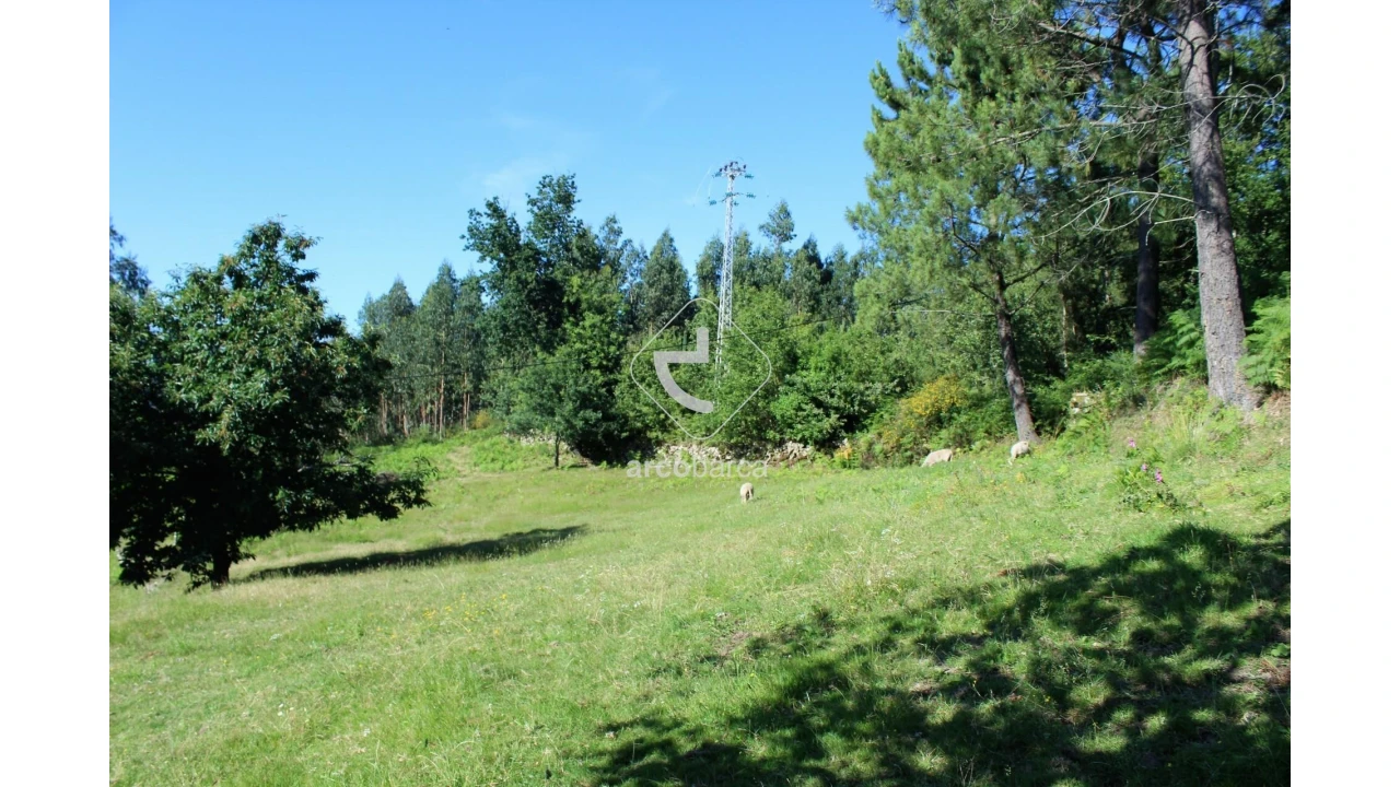 Terreno para Venda em Vila Chã (São João Baptista e Santiago) Foto 6