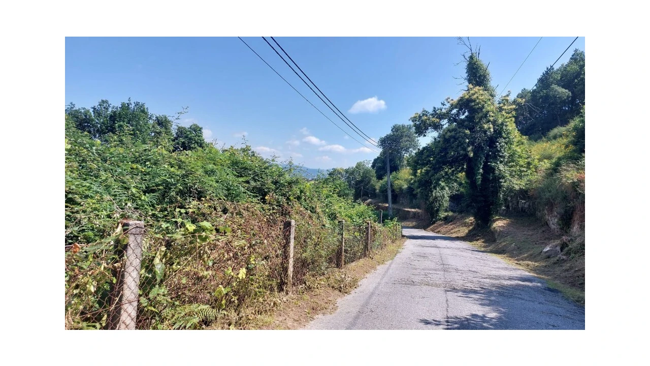 Quinta para Venda em Escariz (São Mamede) e Escariz (São Martinho) Foto 14