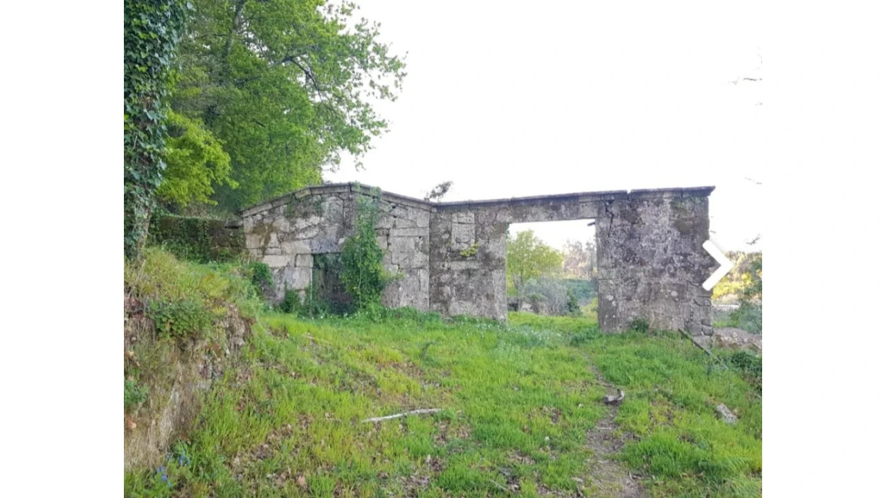 Quinta para Venda em Escariz (São Mamede) e Escariz (São Martinho) Foto 10