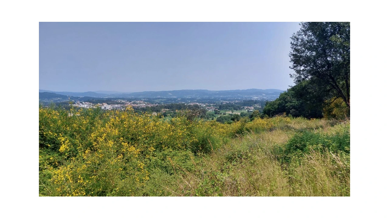 Quinta para Venda em Escariz (São Mamede) e Escariz (São Martinho) Foto 1