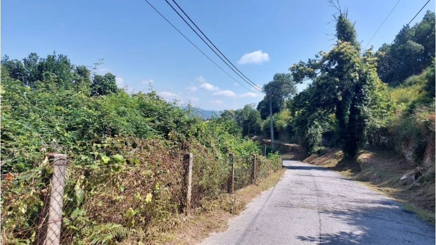 Quinta para Venda em Escariz (São Mamede) e Escariz (São Martinho) Foto 14