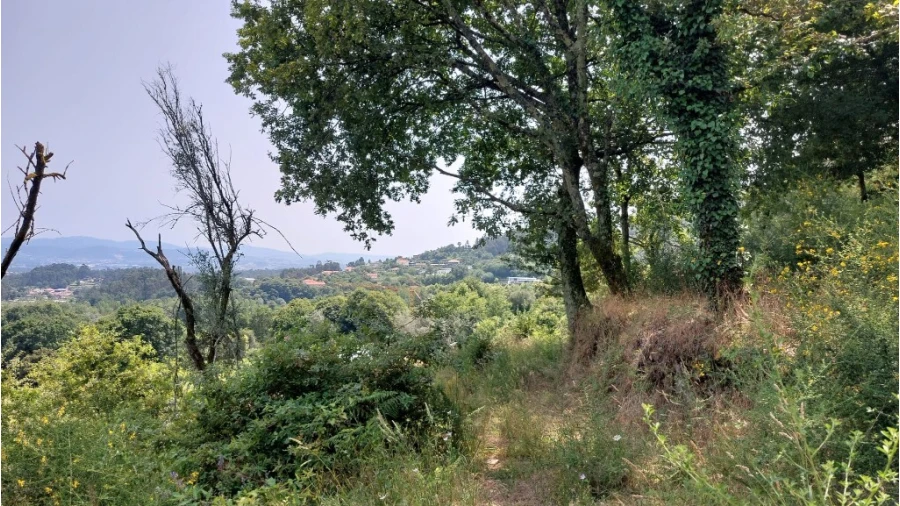 Quinta para Venda em Escariz (São Mamede) e Escariz (São Martinho) Foto 6