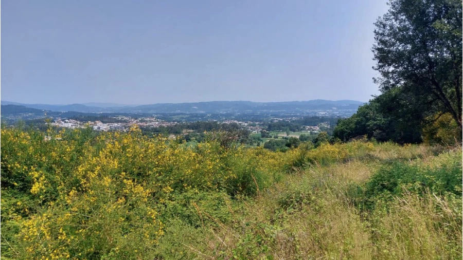 Quinta para Venda em Escariz (São Mamede) e Escariz (São Martinho) Foto 1