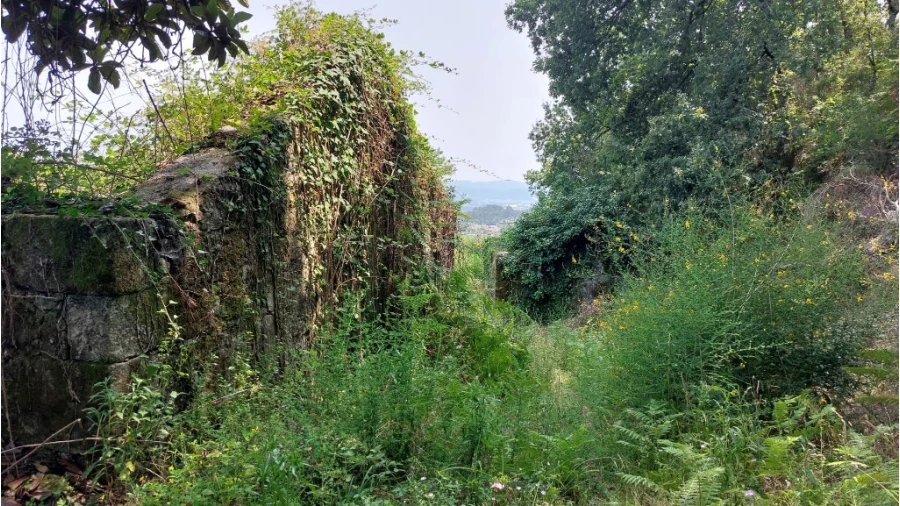 Quinta para Venda em Escariz (São Mamede) e Escariz (São Martinho) Foto 4