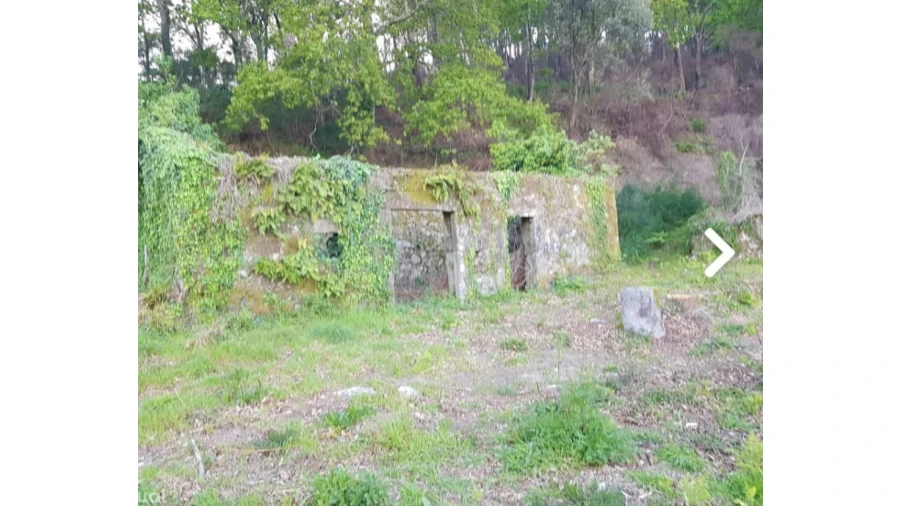 Quinta para Venda em Escariz (São Mamede) e Escariz (São Martinho) Foto 9