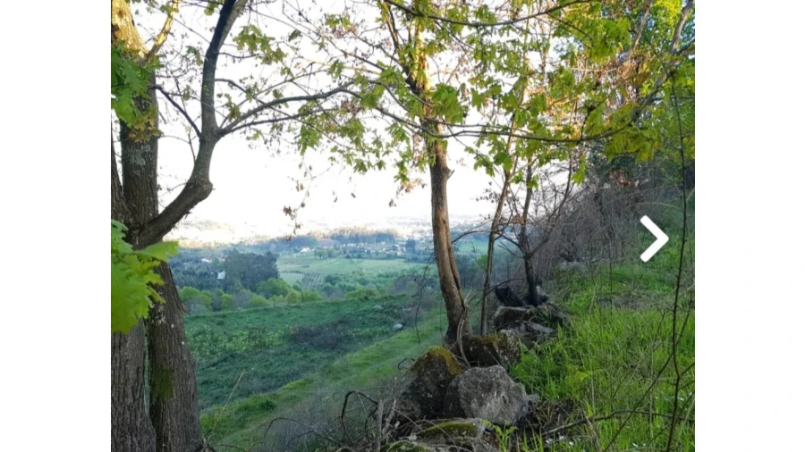 Quinta para Venda em Escariz (São Mamede) e Escariz (São Martinho) Foto 12