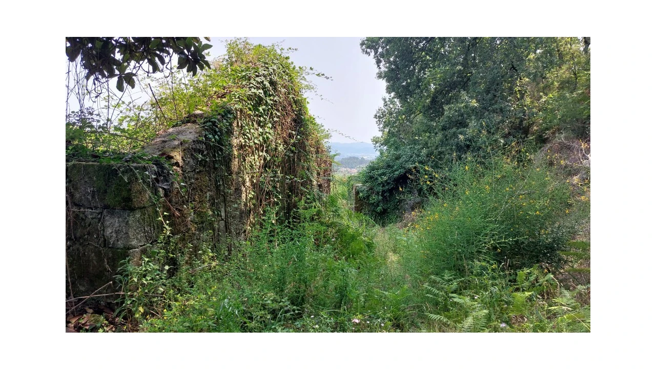 Quinta para Venda em Escariz (São Mamede) e Escariz (São Martinho) Foto 4