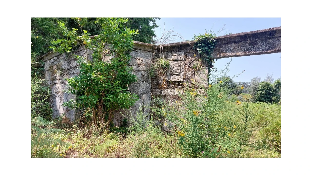 Quinta para Venda em Escariz (São Mamede) e Escariz (São Martinho) Foto 7