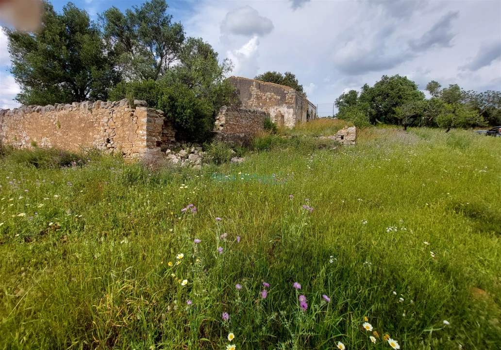 Terreno Misto para Venda em Santa Barbara de Nexe Foto 4