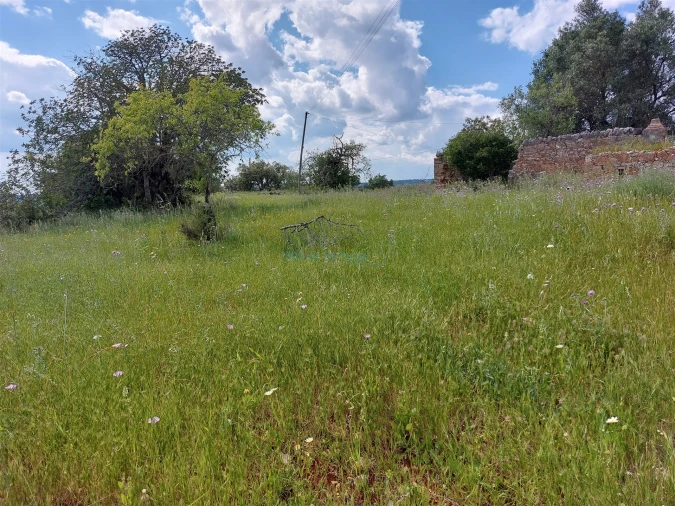 Terreno Misto para Venda em Santa Barbara de Nexe Foto 5