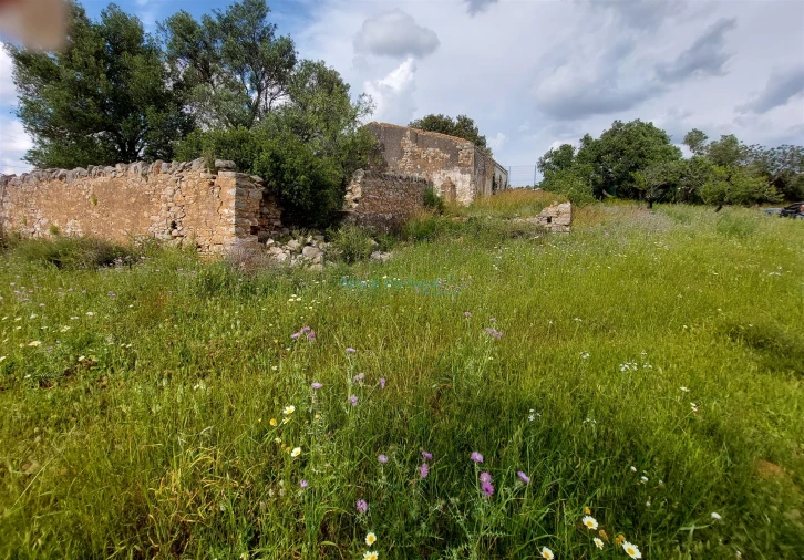 Terreno Misto para Venda em Santa Barbara de Nexe Foto 4