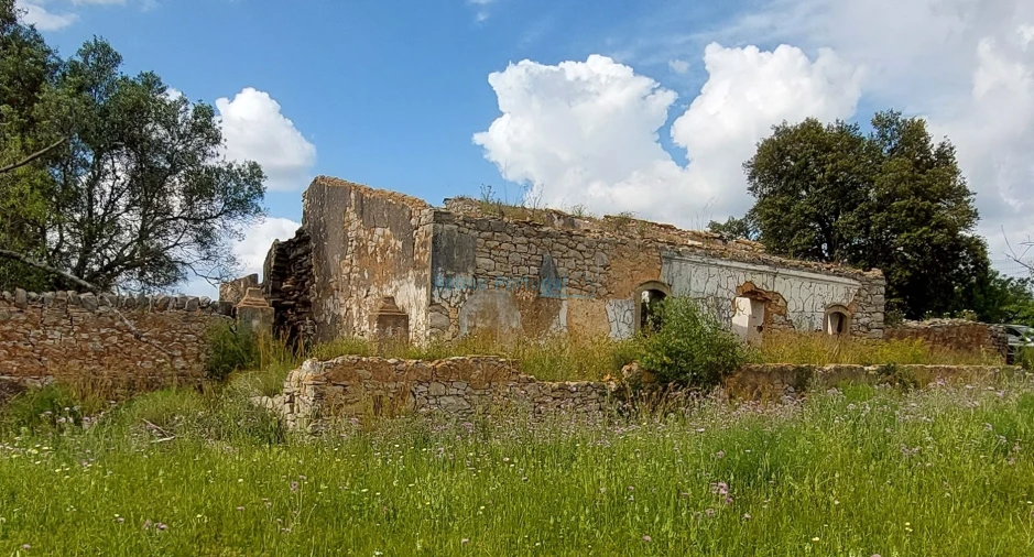 Terreno Misto para Venda em Santa Barbara de Nexe Foto 3