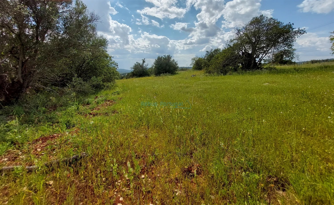 Terreno Misto para Venda em Santa Barbara de Nexe Foto 2