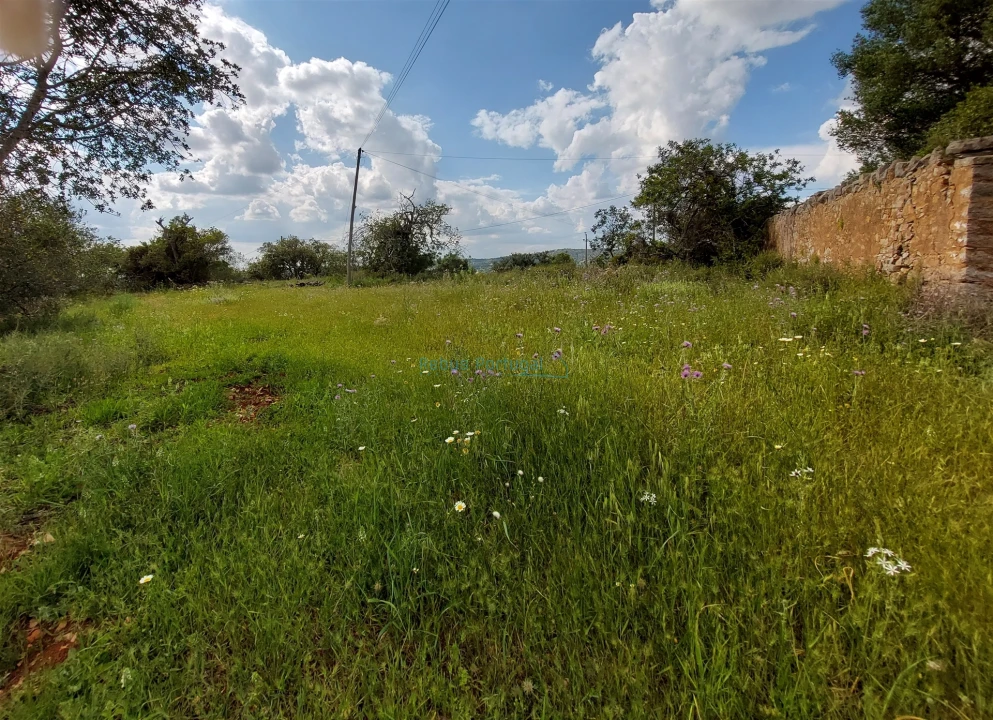 Terreno Misto para Venda em Santa Barbara de Nexe Foto 6