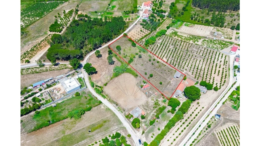 Quinta T0 para Venda em Pontevel Foto 3