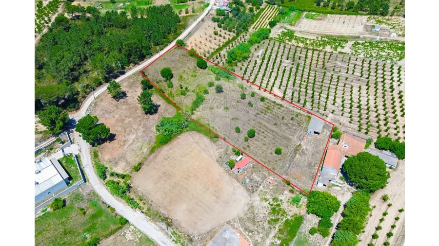 Quinta T0 para Venda em Pontevel Foto 4