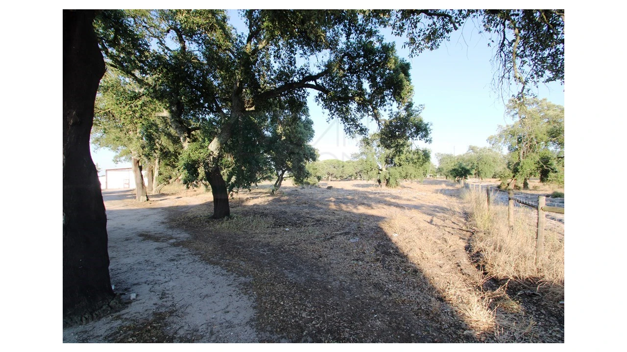 Quinta T3 para Venda em Pinhal Novo Foto 26