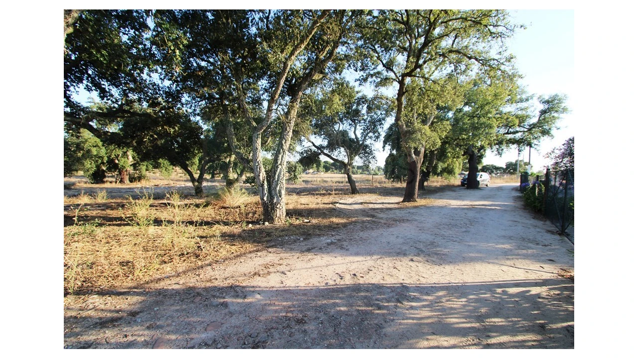 Quinta T3 para Venda em Pinhal Novo Foto 27