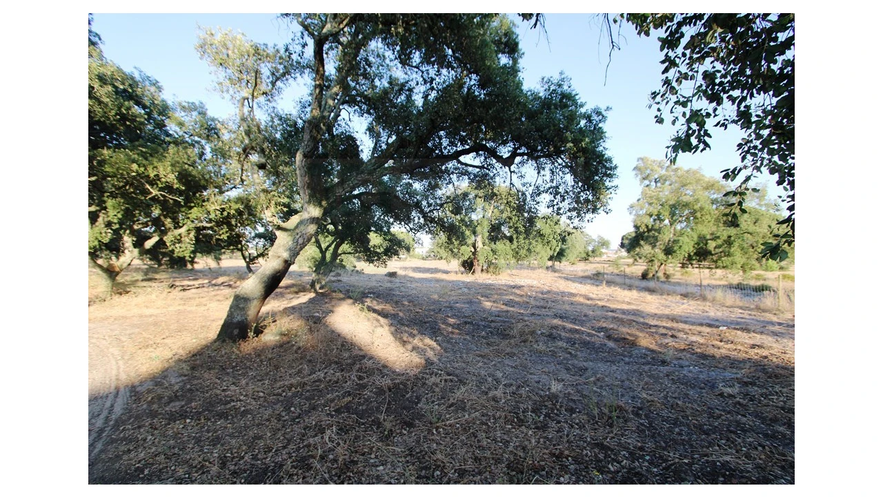 Quinta T3 para Venda em Pinhal Novo Foto 28