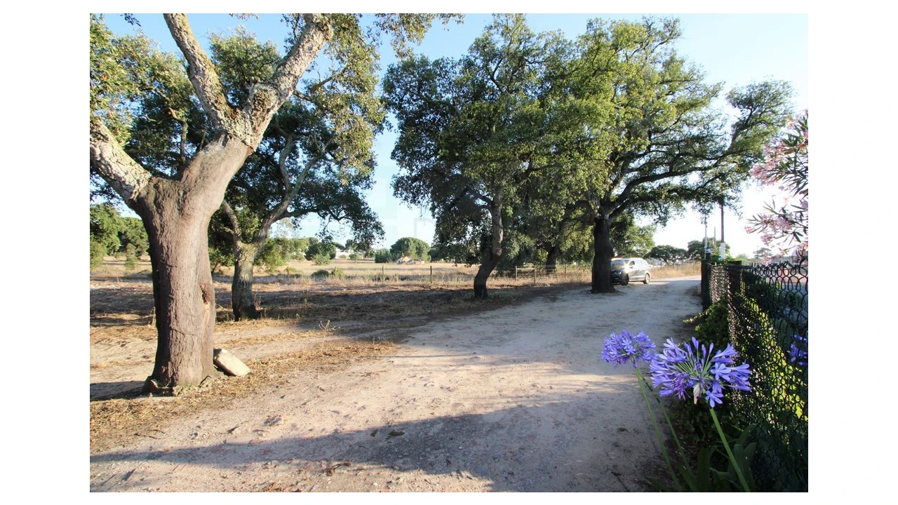 Quinta T3 para Venda em Pinhal Novo Foto 29