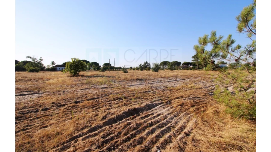 Quinta T3 para Venda em Pinhal Novo Foto 9