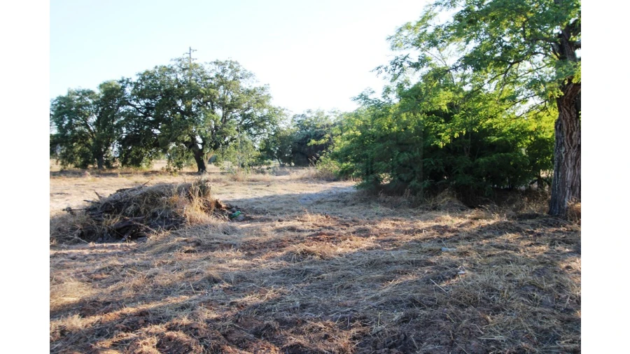 Quinta T3 para Venda em Pinhal Novo Foto 13