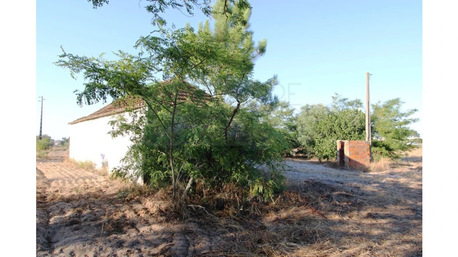 Quinta T3 para Venda em Pinhal Novo Foto 15