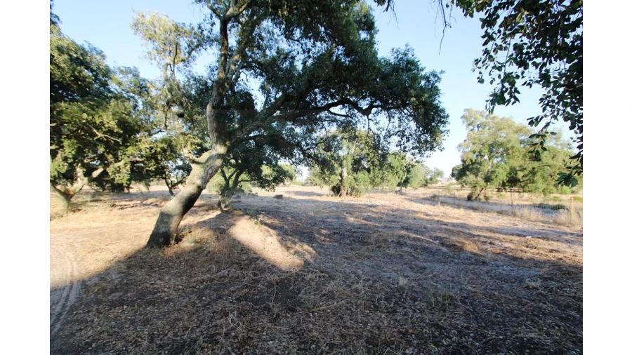 Quinta T3 para Venda em Pinhal Novo Foto 28