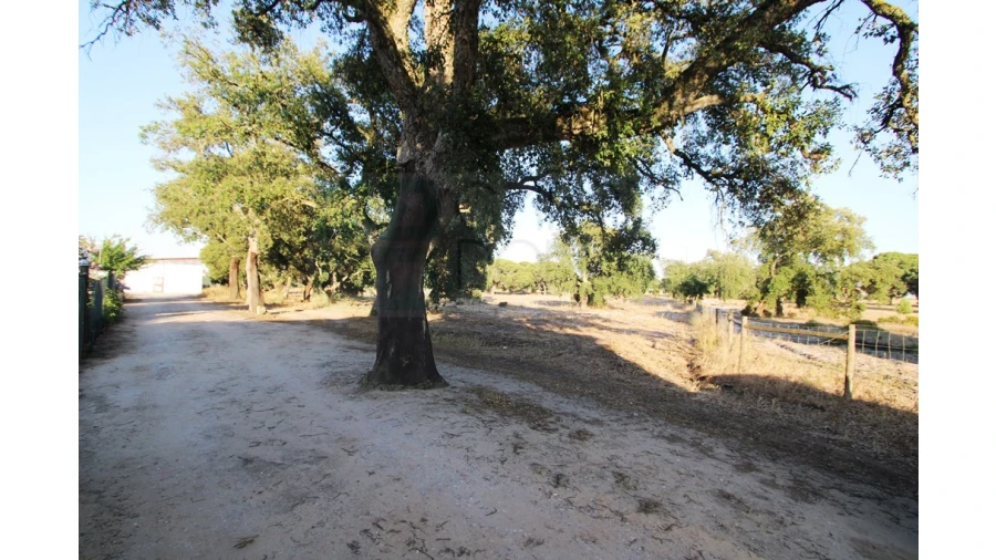 Quinta T3 para Venda em Pinhal Novo Foto 30