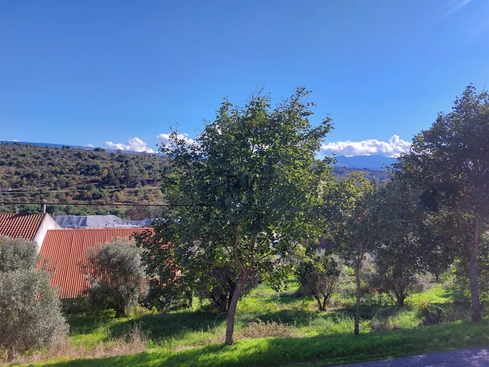 Moradia T5 para Venda em Fornos de Algodres Foto 22