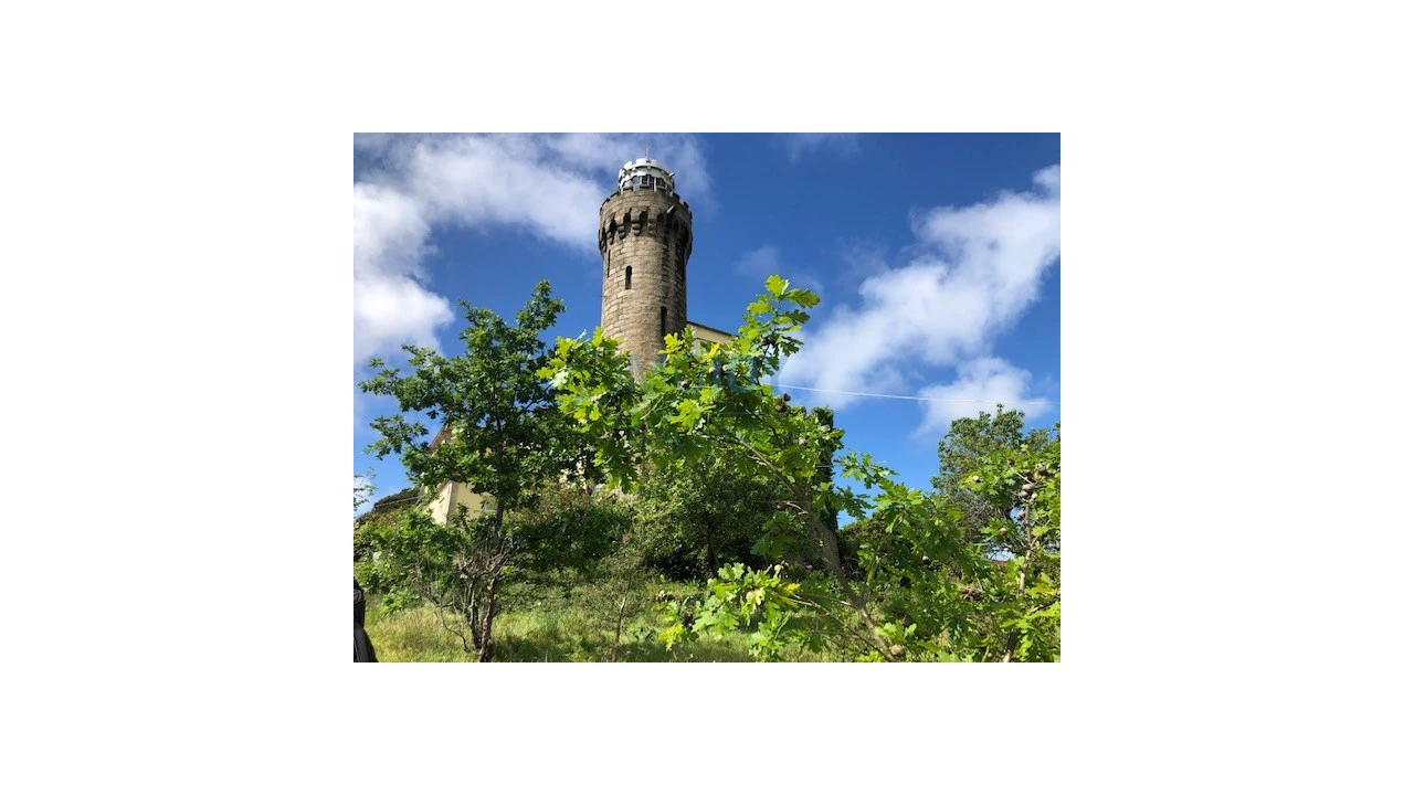 Quinta T7 para Venda em Mafamude e Vilar do Paraíso Foto 8