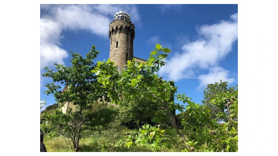 Quinta T7 para Venda em Mafamude e Vilar do Paraíso Foto 8