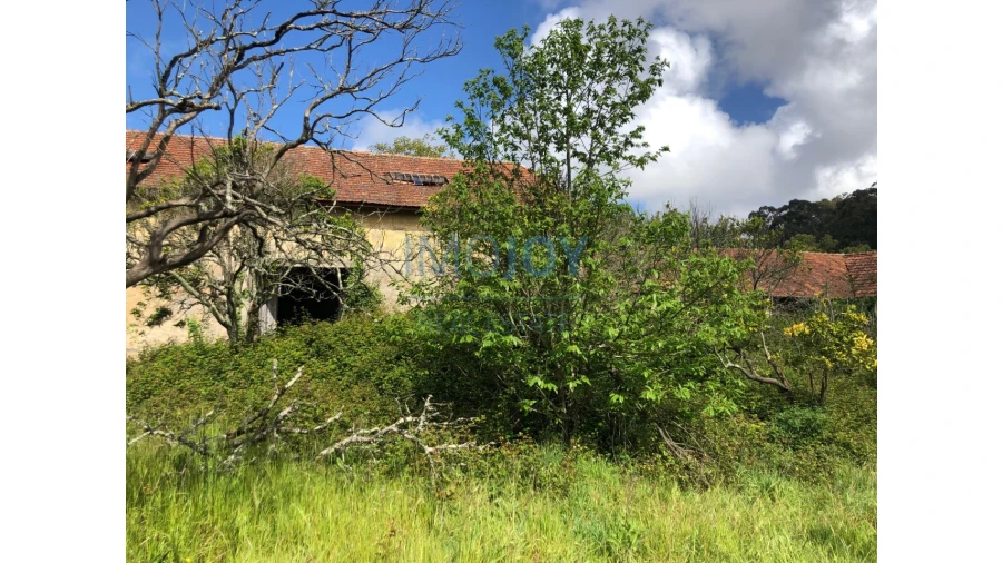 Quinta T7 para Venda em Mafamude e Vilar do Paraíso Foto 32