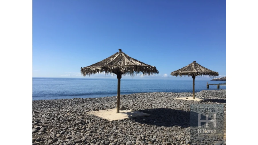 Negócio para Venda em Santa Cruz Foto 38