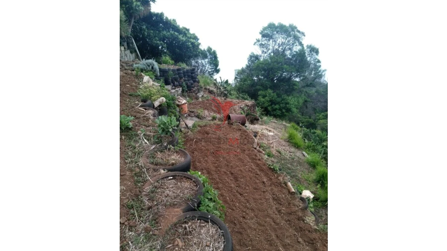 Terreno para Venda em Agua de Pena Foto 3