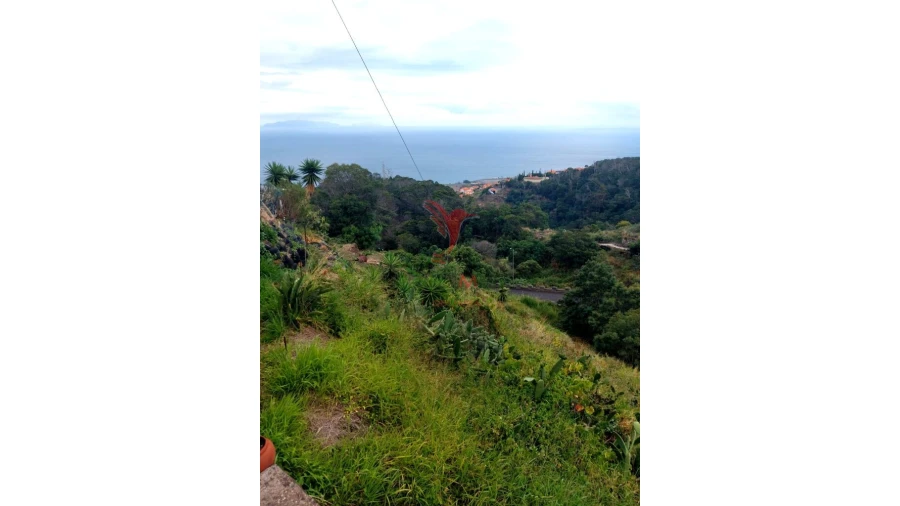 Terreno para Venda em Agua de Pena Foto 4