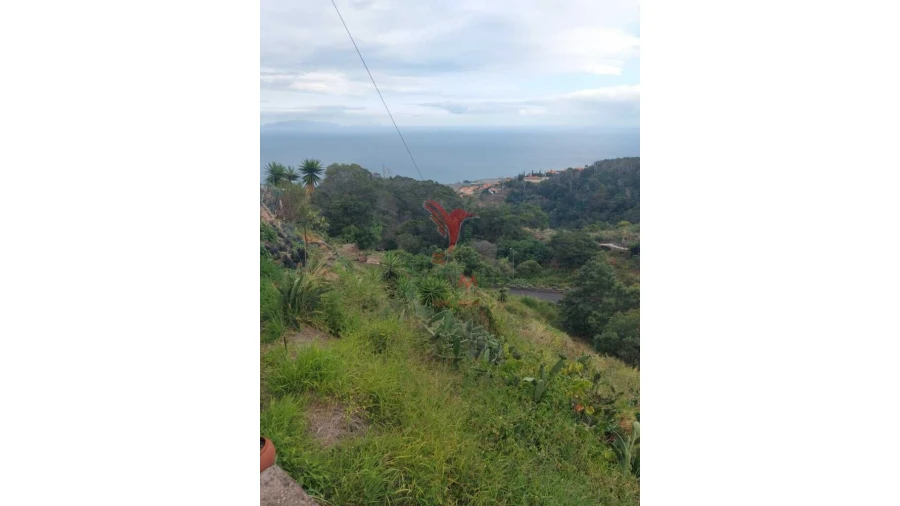 Terreno para Venda em Agua de Pena Foto 5