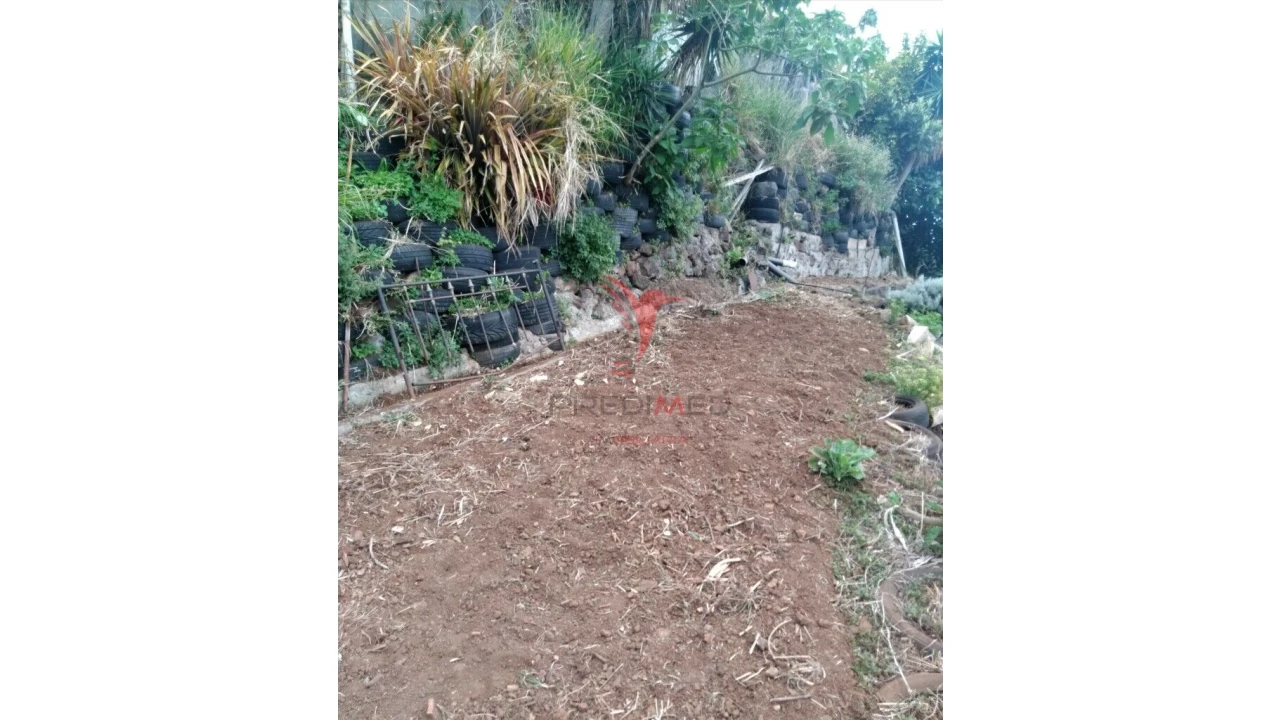 Terreno para Venda em Agua de Pena Foto 2