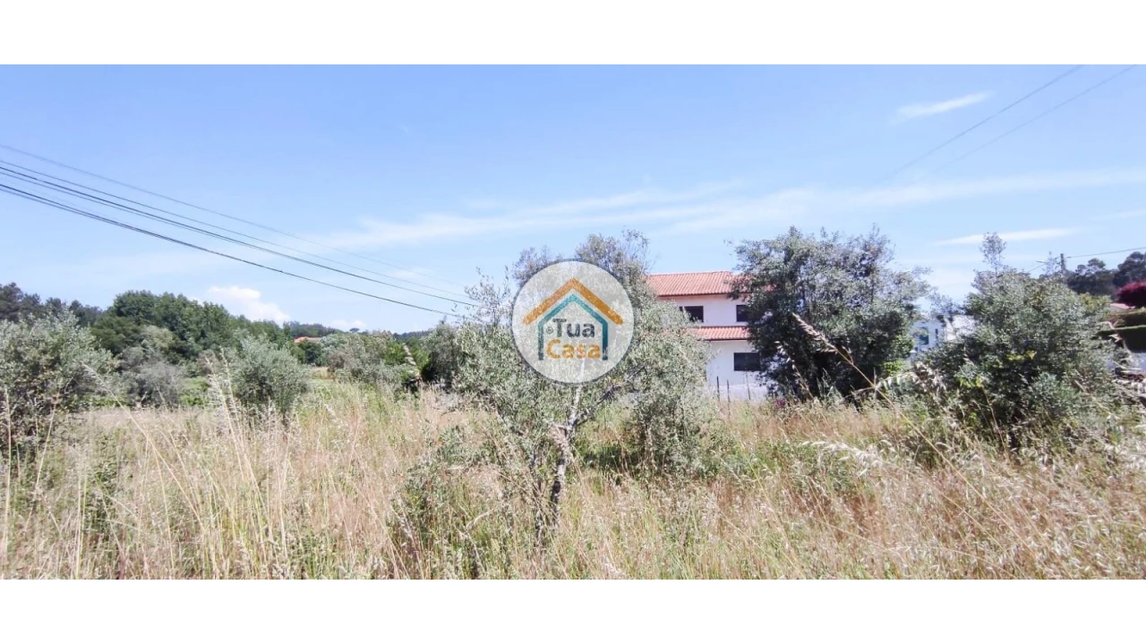 Terreno para Venda em São Miguel do Outeiro e Sabugosa Foto 19