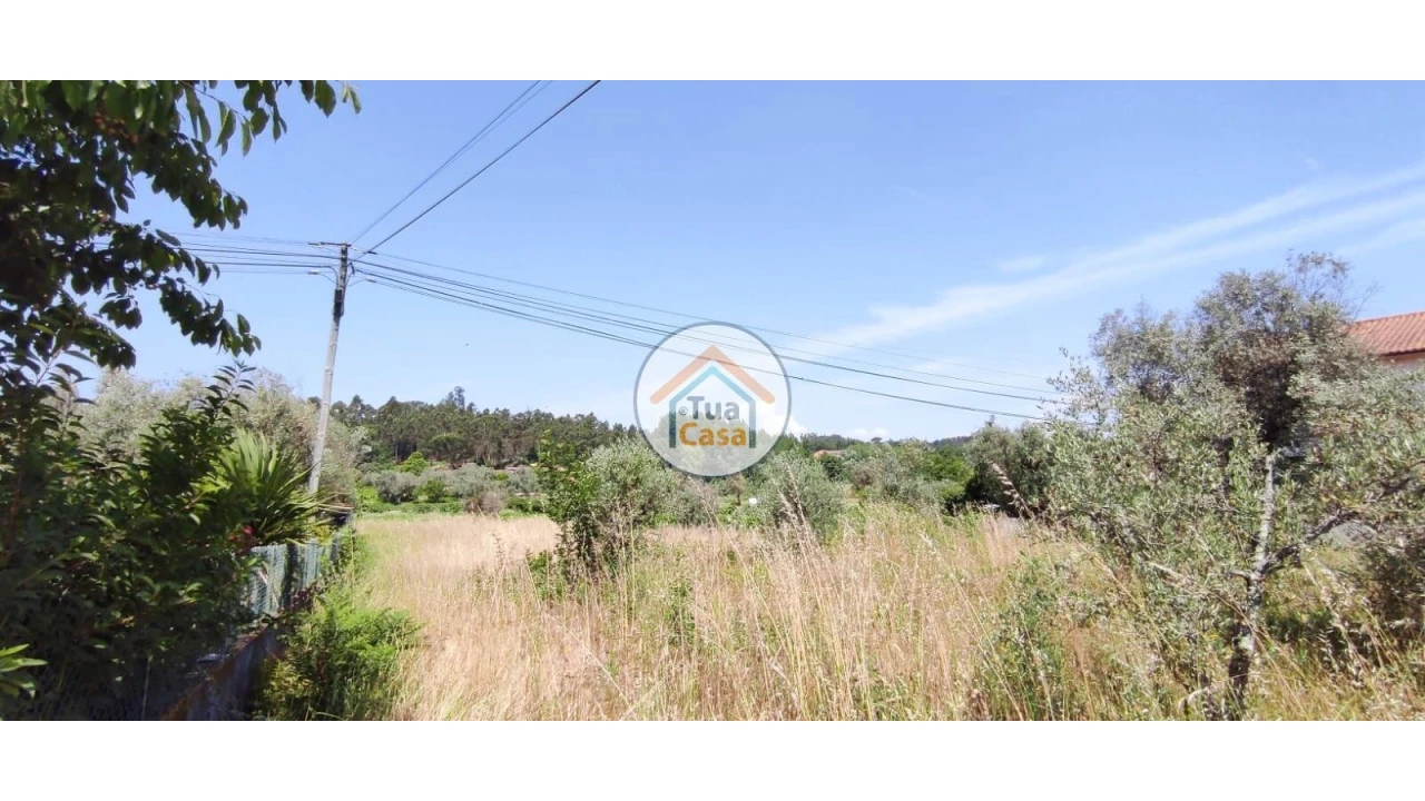 Terreno para Venda em São Miguel do Outeiro e Sabugosa Foto 13