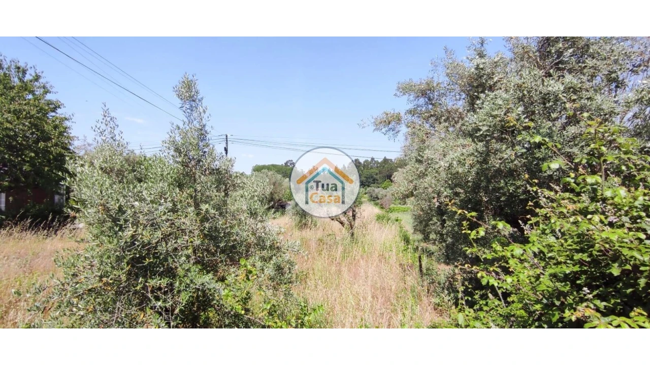 Terreno para Venda em São Miguel do Outeiro e Sabugosa Foto 15