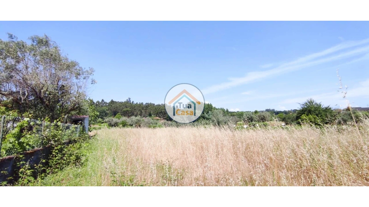 Terreno para Venda em São Miguel do Outeiro e Sabugosa Foto 9