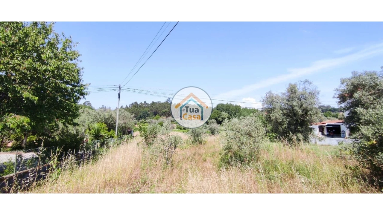 Terreno para Venda em São Miguel do Outeiro e Sabugosa Foto 17