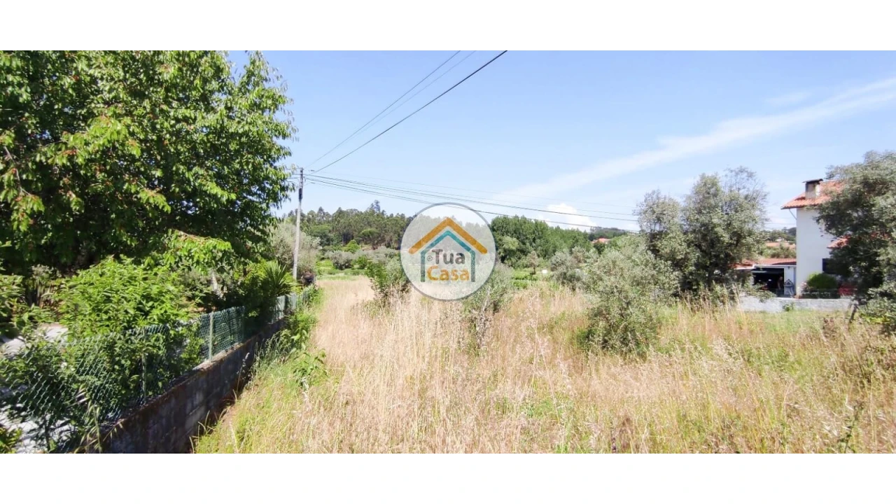 Terreno para Venda em São Miguel do Outeiro e Sabugosa Foto 10