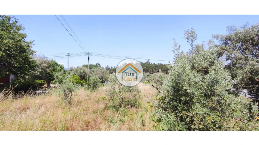 Terreno para Venda em São Miguel do Outeiro e Sabugosa Foto 12