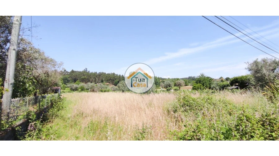 Terreno para Venda em São Miguel do Outeiro e Sabugosa Foto 11