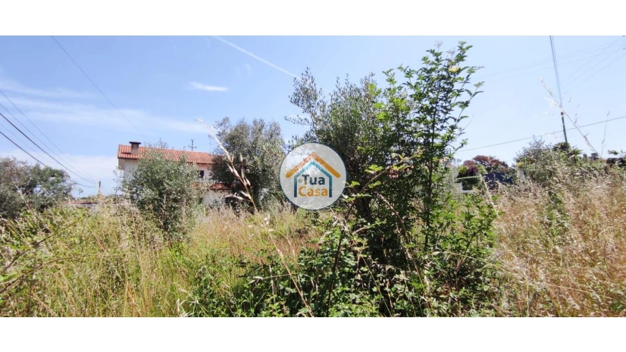 Terreno para Venda em São Miguel do Outeiro e Sabugosa Foto 18