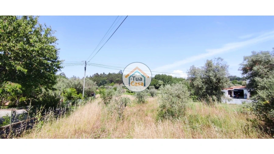 Terreno para Venda em São Miguel do Outeiro e Sabugosa Foto 17