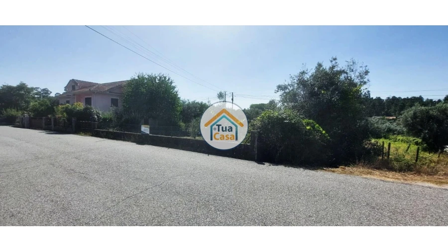 Terreno para Venda em São Miguel do Outeiro e Sabugosa Foto 4